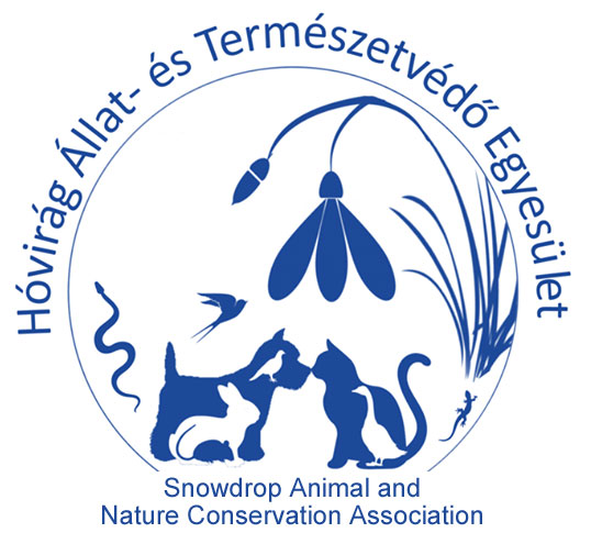 association-logo