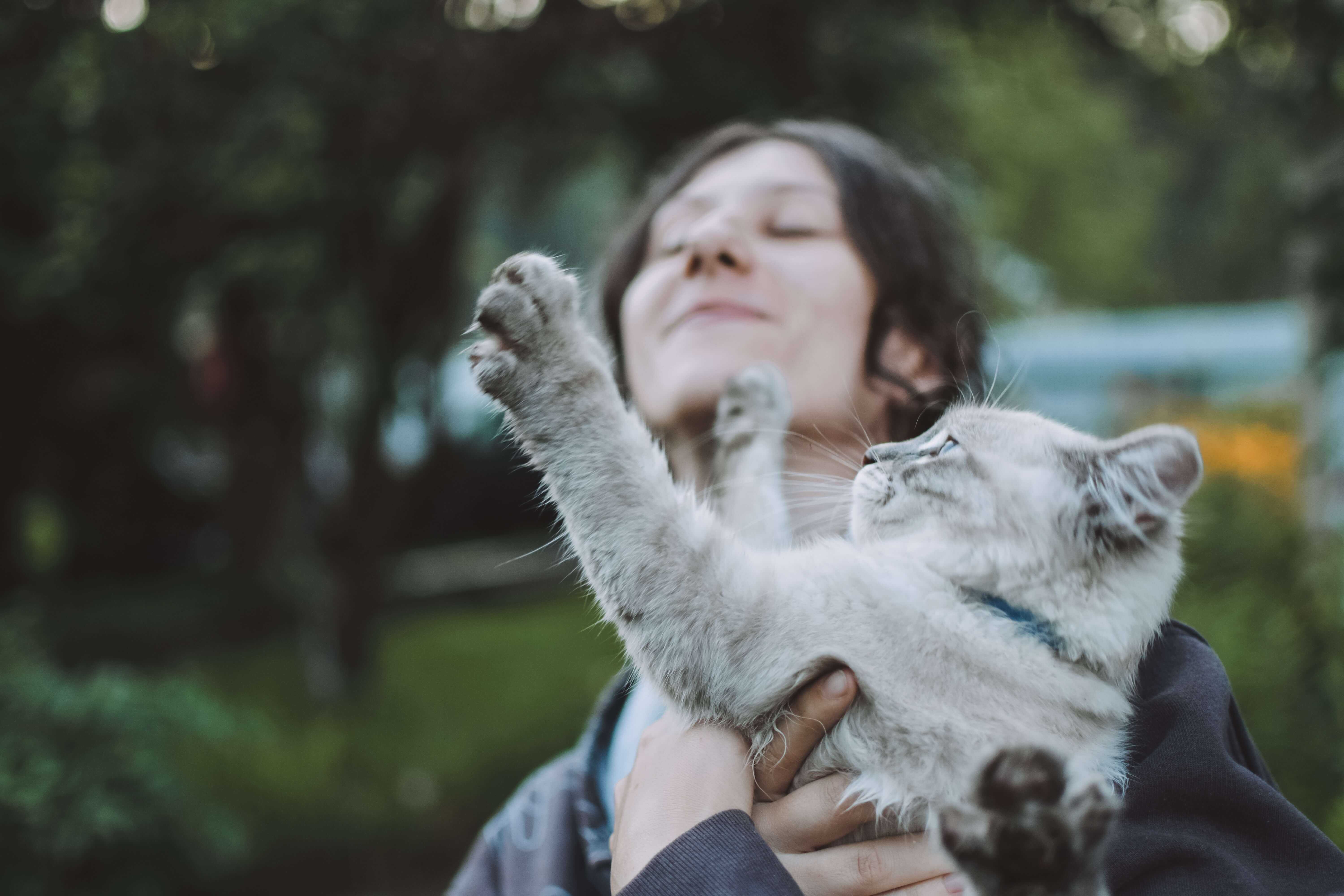 Woman playing with cat